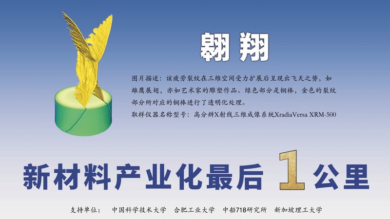 精细化工药剂在自来水厂中主要用于以下几个方面：