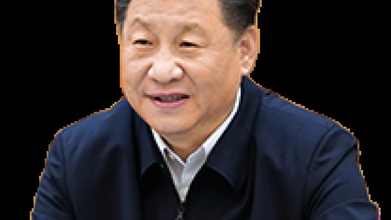助剂喷施后多久见效？揭秘助剂作用时效之谜
